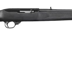 Ruger 10/22 Carbine .22 LR