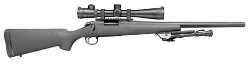 Buy Ruger TALO Exclusive 10/22 Competition, .22 LR, 16" SS Fluted Barrel, Brake, Brown Laminate Stock, 10rd Mag