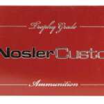 Nosler Trophy Grade .300 Weatherby Magnum 180gr, E-Tip