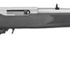 Ruger 10/22 22LR Carbine, 18" Barrel, SS Finish, 10 Rnd Mag