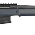 Ruger Wrangler, .22 LR, 4.62" Barrel, 6rd, Silver