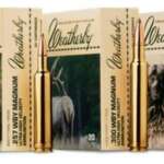 Weatherby .300 Weatherby Magnum, 180 Gr, Ballistic Tip Bullet, 20rd Box