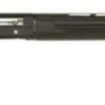Dakota Arms Model 76 African Custom 416 Rigby Upgraded, Color Case Hardening, Rings and Base