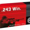 Buy GECO .243 Winchester Soft Point 105gr, 20rd/Box