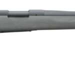Dan Wesson Specialist 9mm, 5" Barrel, Stainless Steel, Night Sights,, rd, 10 rd