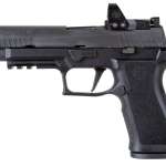 Sig Sauer P320 RX X-Full Size 9mm Pistol, w/ Romeo 1 Pro Red Dot