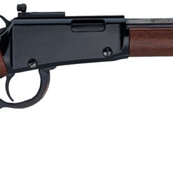 Henry Small Game 22 WMR Carbine