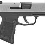 Sig Sauer P365 9mm Micro Pistol Stainless