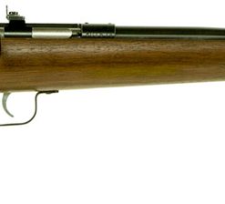 Crickett 22LR Youth Rifle Walnut Stock