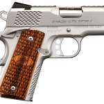 Kimber 1911 Raptor Stainless Ultra II 45 ACP Pistol (2017)