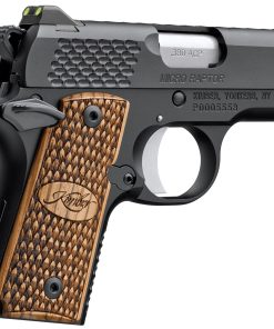 Kimber Micro Carry Raptor 380 ACP Pistol