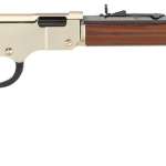 Henry Golden Boy 22 Mag Rifle 20" Octagonal Barrel
