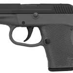 Kel-Tec P32 Grey Frame 32 ACP Pistol, Parkerized