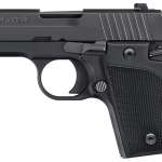 Sig Sauer P938 9mm Pistol Ambi Safety Night Sights