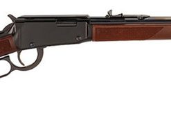 Henry Lever Action 22 Magnum Rifle