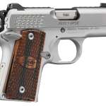 Kimber Micro 9 Raptor Stainless 9mm Pistol