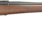 Ruger M77 Hawkeye 204 Ruger Satin Walnut Blued