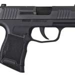 Sig Sauer P365 9mm Micro Pistol