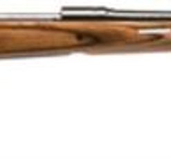 Savage Model 11 Hunter Series .22-250 22" Barrel Satin Blue Finish Accutrigger Thumbhole Laminate Stock 4 Round
