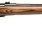 Savage Model 25 Lightweight Varminter .204 Ruger 24 Inch Barrel Satin Blue Finish Detachable Box Magazine Brown Laminate Stock 4 Round