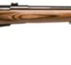 Savage Model 25 Lightweight Varminter .204 Ruger 24 Inch Barrel Satin Blue Finish Detachable Box Magazine Brown Laminate Stock 4 Round
