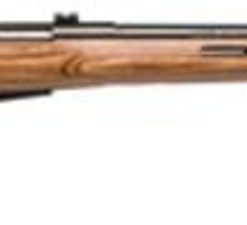 Savage Model 25 Lightweight Varminter T .22 Hornet 24 Inch Barrel Satin Blue Finish Detachable Box Magazine Brown Laminate Thumbhole Stock 4 Round