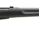Savage Model 25 Walking Varminter .222 Remington 22 Inch Barrel Satin Black Synthetic Stock Accutrigger 4 Round