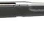 Savage Arms Axis Rifle, .30-06, 22", Black Synthetic Stock/Stainless Steel