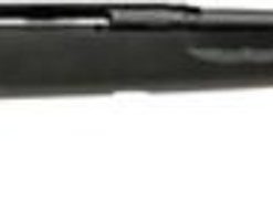 Savage AXIS Rifle, 30-06, Black, 22"