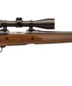 Savage 10 Trophy Hunter XP Bolt 22-250 Rem 22" Barrel, Scope Wal Stock Black, 4rd