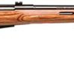Savage 25 Lightweight Varmint Bolt 17 Hornet 24" Laminate TH Stock Blued