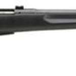 Savage 25 Walking Varminter, 17 Hornet, 22" Barrel, Black Barrel and Action, Black Polymer Stock, 4Rd,