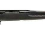 Savage Arms Axis SR .308 Win, 20" Threaded Barrel, 5/8-24 TPI, Blued, Box Mag, Black Stock, 4rd