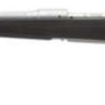 Savage Arms Model 16 Weather Warrior Series .308 Winchester 22" Stainless Steel Barrel Black Synthetic AccuStock Detachable Box Magazine 4rds - Left Hand
