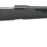 Savage 10/110 Hunter 22-250 Remington, 22" Barrel,, , AccuFit Gray Stock, 4 rd