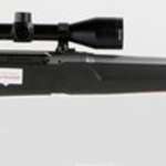 Savage Axis II XP 25-06 Remington, With 3X9X40 Scope, 22" Barrel, Stainless Steel,, , Synthetic, Black, 4 rd