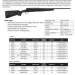Savage Axis II, 30-06 Springfield, 22" Barrel, Black Color, Black Polymer Stock, 4Rd, Detachable Box Magazine