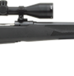 Savage 110 Engage Hunter, 450 BM, 22" Barrel, Black Color, Polymer Stock, 4Rd, Bushnell Engage 3-9x40 Scope,