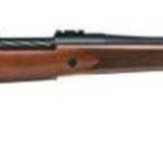 Mossberg Patriot Bolt 243 Win 22" Barrel, Walnut Stock Blued, 5rd