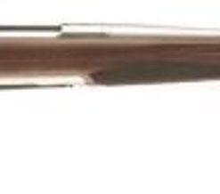 Browning X-Bolt Stainless Hunter 300win