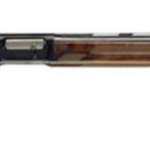 Browning A5 Hunter 12 Ga 3" Chamber 26" Vent Rib Barrel Blue Finish DS Choke Tubes Walnut Stock Gloss Finish 4rd