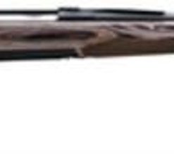 Browning X-Bolt Eclipse Hunter, .300 Win Mag, 26", 4rd, Laminate Wood Stock