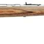 Marlin XT-22MTSL ProFire Adjustable Trigger, 22" SS Barrel Laminate Brown Stock, Hood Sights, Rifle Pad 12 shot