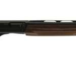 Winchester SX3 20 Ga, 26" Barrel, 3", Grade I Walnut Stock