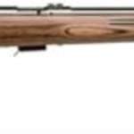 Savage Mark II Btvs 22LR 21 Inch Barrel Stainless Steel Finish Laminated Thumbhole Stock Accutrigger 5 Round Mag