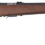 Savage 93R17 GV Bolt 17 HMR 21" Barrel, Hardwood Stock Blued, 5rd