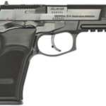 Bersa Thunder .40 S&W, 4.3", Matte Black, 13rd