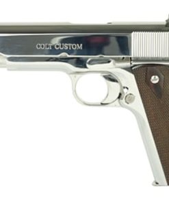 Colt Government 1911, 45 ACP, 5" Barrel, Steel Frame, Bright Stainless Finish, 7Rd Mag, White Dot Sights