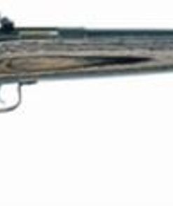 Keystone Crickett 22LR, 16.5", Laminated Blue