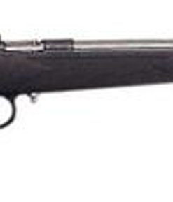 Keystone Crickett 22LR, SS Barrel, Black Synthetic Stock